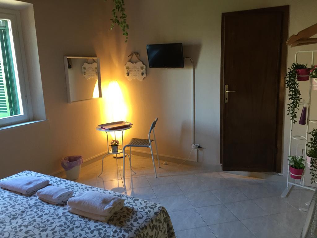 Smile Tower House Hotel Pisa Exterior photo